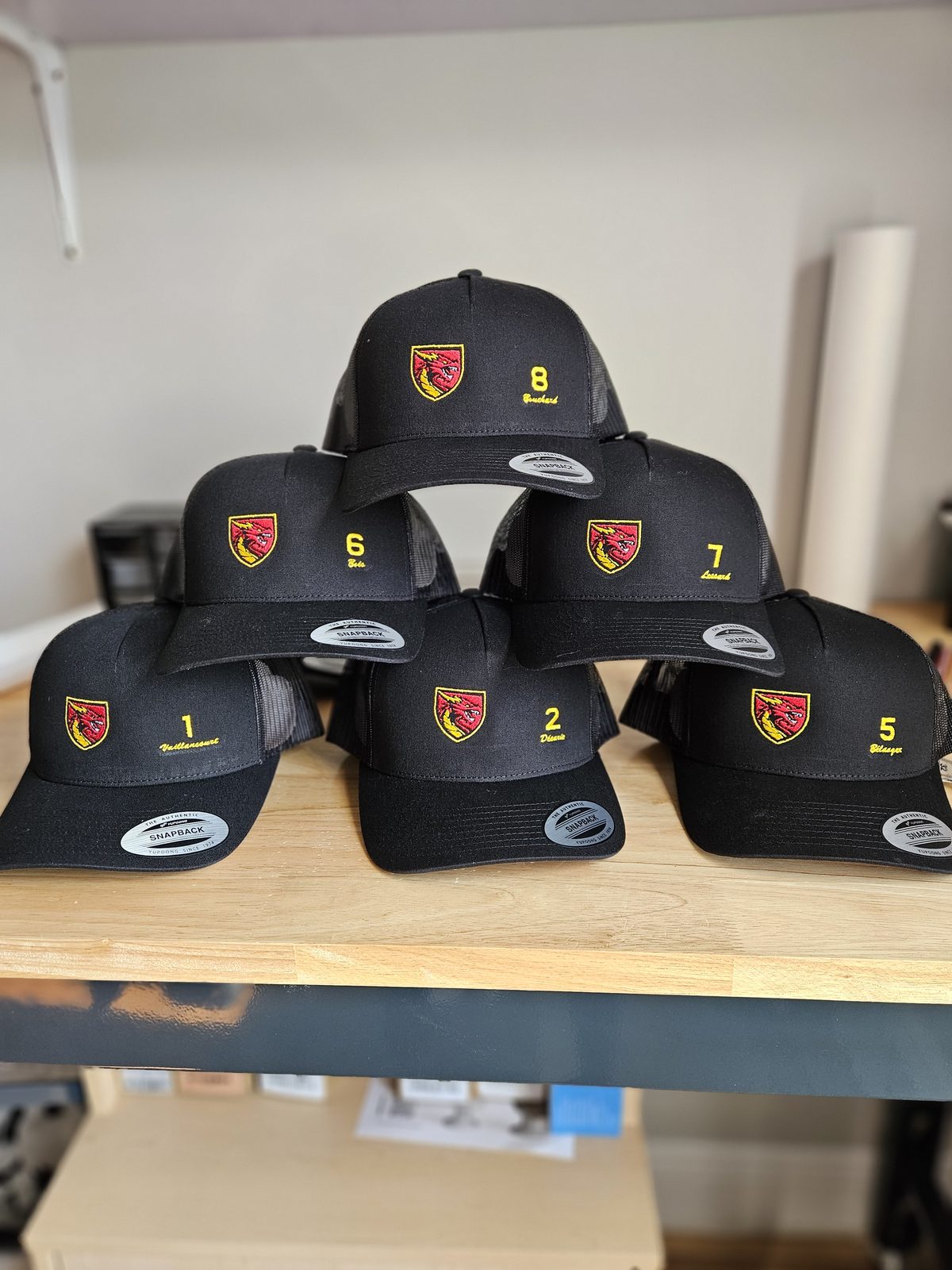 Série de casquettes Dragons brodées et numérotées